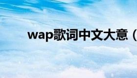 wap歌词中文大意（wap歌词释义）