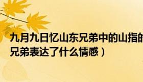 九月九日忆山东兄弟中的山指的是什么山（九月九日忆山东兄弟表达了什么情感）