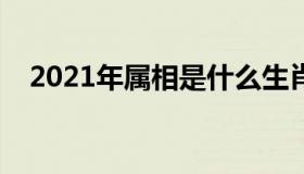 2021年属相是什么生肖（十二生肖介绍）