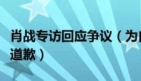 肖战专访回应争议（为自己不当言论伤到的人道歉）