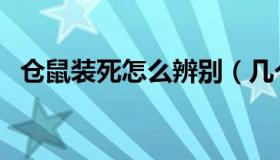 仓鼠装死怎么辨别（几个小妙招快速辨别）