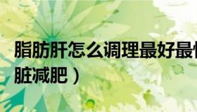 脂肪肝怎么调理最好最快（四个方法能帮助肝脏减肥）