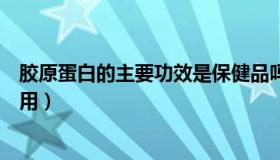 胶原蛋白的主要功效是保健品吗（胶原蛋白的主要功效与作用）