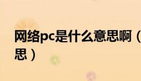 网络pc是什么意思啊（pc在性方面是什么意思）