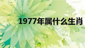 1977年属什么生肖（1977年属蛇）