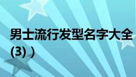 男士流行发型名字大全（男学生时尚发型名称(3)）