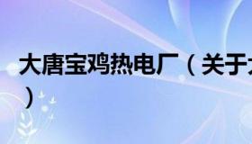 大唐宝鸡热电厂（关于大唐宝鸡热电厂的介绍）