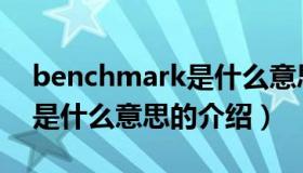 benchmark是什么意思（关于benchmark是什么意思的介绍）