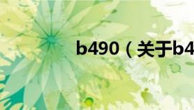 b490（关于b490的介绍）