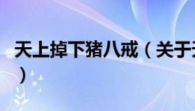 天上掉下猪八戒（关于天上掉下猪八戒的介绍）