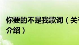 你要的不是我歌词（关于你要的不是我歌词的介绍）