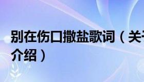 别在伤口撒盐歌词（关于别在伤口撒盐歌词的介绍）