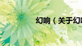 幻响（关于幻响的介绍）