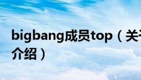 bigbang成员top（关于bigbang成员top的介绍）