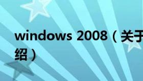 windows 2008（关于windows 2008的介绍）