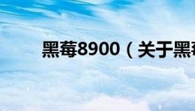 黑莓8900（关于黑莓8900的介绍）