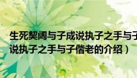 生死契阔与子成说执子之手与子偕老（关于生死契阔与子成说执子之手与子偕老的介绍）