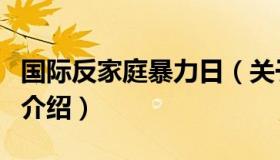 国际反家庭暴力日（关于国际反家庭暴力日的介绍）