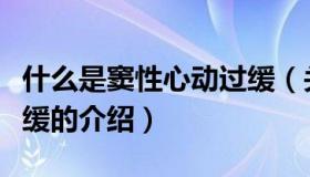 什么是窦性心动过缓（关于什么是窦性心动过缓的介绍）