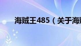 海贼王485（关于海贼王485的介绍）