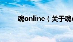 魂online（关于魂online的介绍）