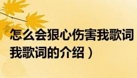 怎么会狠心伤害我歌词（关于怎么会狠心伤害我歌词的介绍）