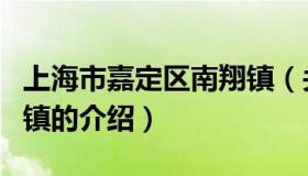 上海市嘉定区南翔镇（关于上海市嘉定区南翔镇的介绍）