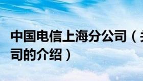 中国电信上海分公司（关于中国电信上海分公司的介绍）