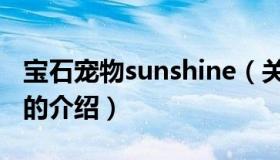 宝石宠物sunshine（关于宝石宠物sunshine的介绍）