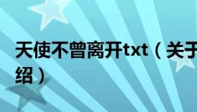 天使不曾离开txt（关于天使不曾离开txt的介绍）