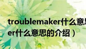 troublemaker什么意思（关于troublemaker什么意思的介绍）