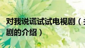 对我说谎试试电视剧（关于对我说谎试试电视剧的介绍）