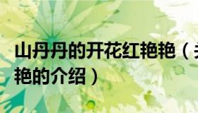 山丹丹的开花红艳艳（关于山丹丹的开花红艳艳的介绍）