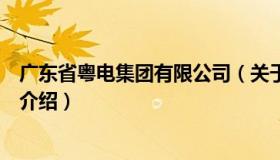 广东省粤电集团有限公司（关于广东省粤电集团有限公司的介绍）