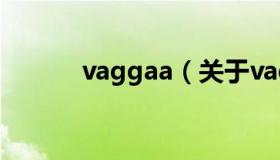 vaggaa（关于vaggaa的介绍）