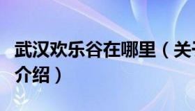 武汉欢乐谷在哪里（关于武汉欢乐谷在哪里的介绍）