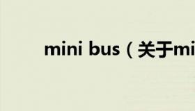 mini bus（关于mini bus的介绍）