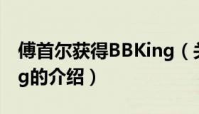 傅首尔获得BBKing（关于傅首尔获得BBKing的介绍）