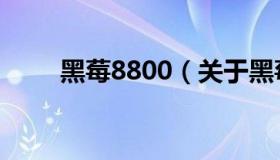 黑莓8800（关于黑莓8800的介绍）