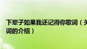 下辈子如果我还记得你歌词（关于下辈子如果我还记得你歌词的介绍）