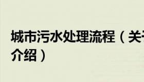 城市污水处理流程（关于城市污水处理流程的介绍）