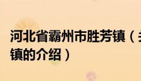 河北省霸州市胜芳镇（关于河北省霸州市胜芳镇的介绍）