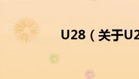 U28（关于U28的介绍）