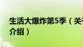 生活大爆炸第5季（关于生活大爆炸第5季的介绍）