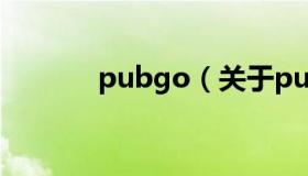 pubgo（关于pubgo的介绍）