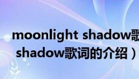 moonlight shadow歌词（关于moonlight shadow歌词的介绍）