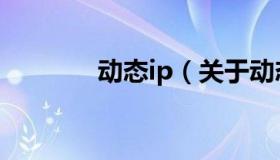 动态ip（关于动态ip的介绍）