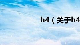 h4（关于h4的介绍）