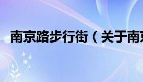 南京路步行街（关于南京路步行街的介绍）