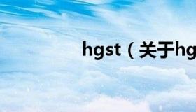 hgst（关于hgst的介绍）